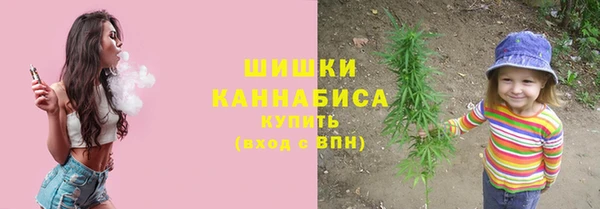 молекула духа Володарск