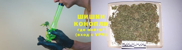 ПСИЛОЦИБИНОВЫЕ ГРИБЫ Волосово