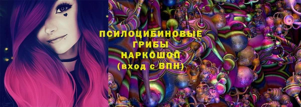 ПСИЛОЦИБИНОВЫЕ ГРИБЫ Верхний Тагил